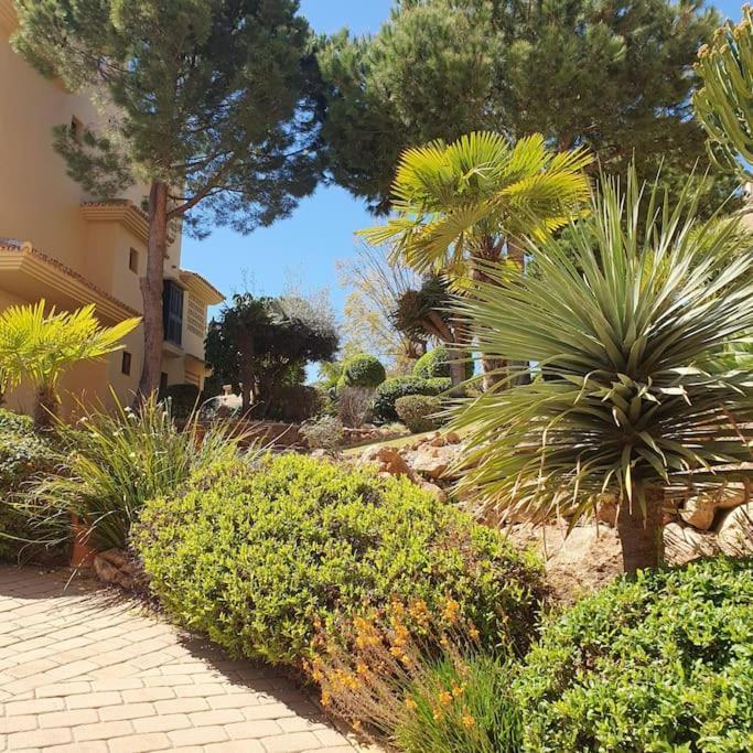 2024 Alquibla Gardens, Terrace & Pool Apartment *
