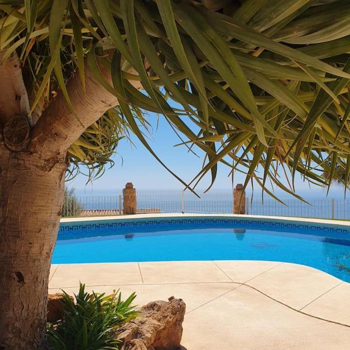 2024 Alquibla Gardens, Terrace & Pool *